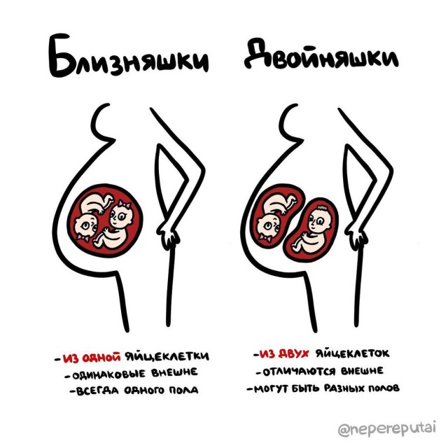 А может вы не знали...