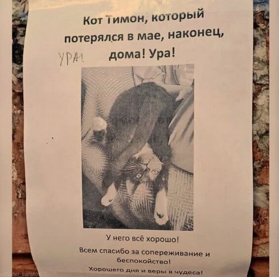 Картинки и мемы на все случаи жизни