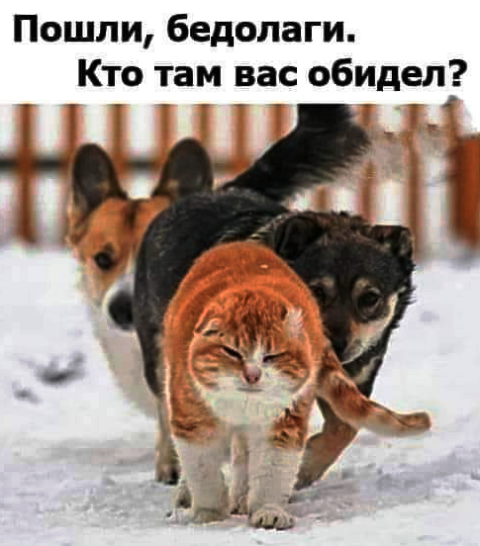 Картинки и мемы для настроения 02.11.2021