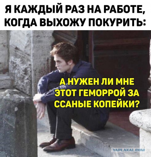 Весёлый полтишок 11.11