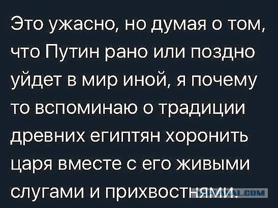 ВОЗ и ООН будут руководить борьбой с вирусами в России
