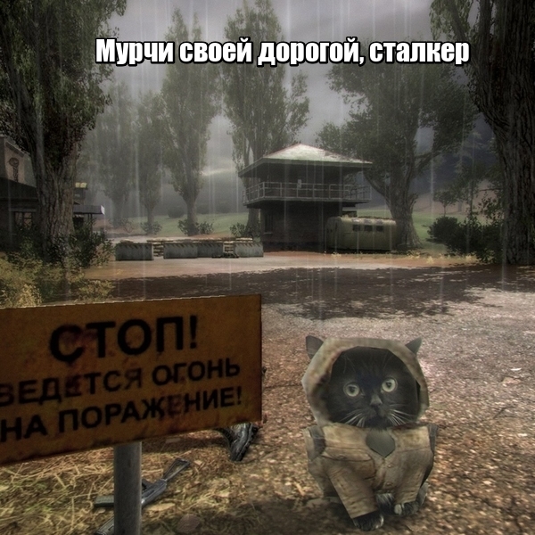 Утренняя подборка картинок и мемов - 6