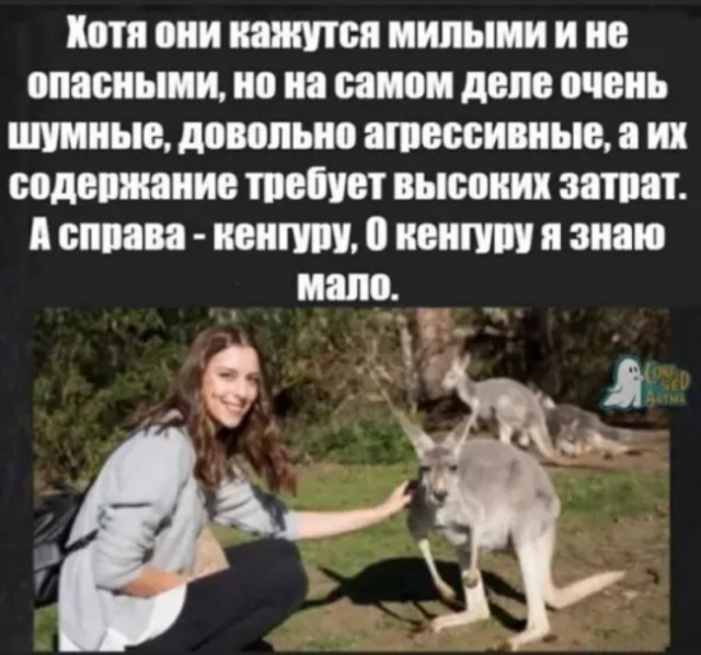 "Я не такая, я за серьезные отношения"