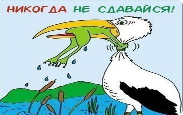 Шнурок остался без обеда