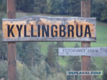 Деревня в которой я живу