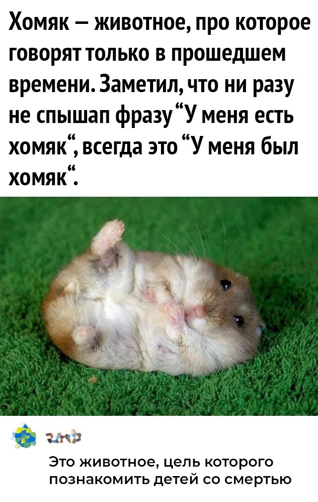 Так себе картинки 01.10.22