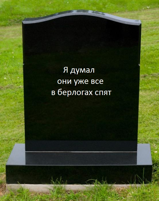 Житель Камчатки встретил медведицу с двумя медвежатами на лавке автобусной остановки.