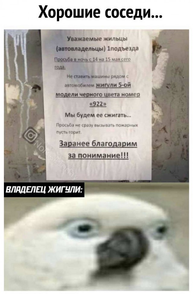 Забавные комментарии из социальных сетей 26.12.22