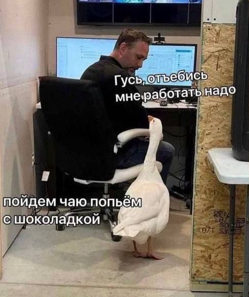 Деревня