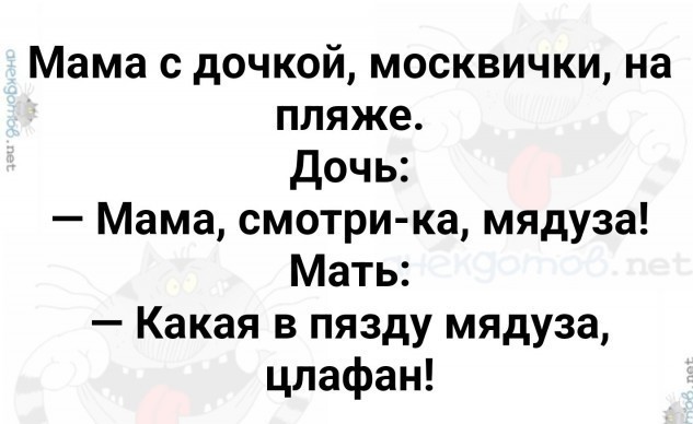 Так себе картинки 06.06.23
