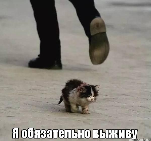 А вот и Хезболла подтягивается