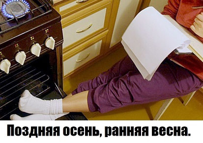 Приколы для настроения
