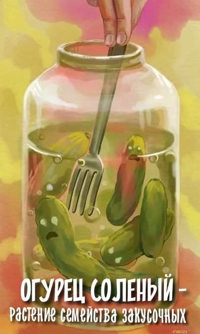 Никакие картинки
