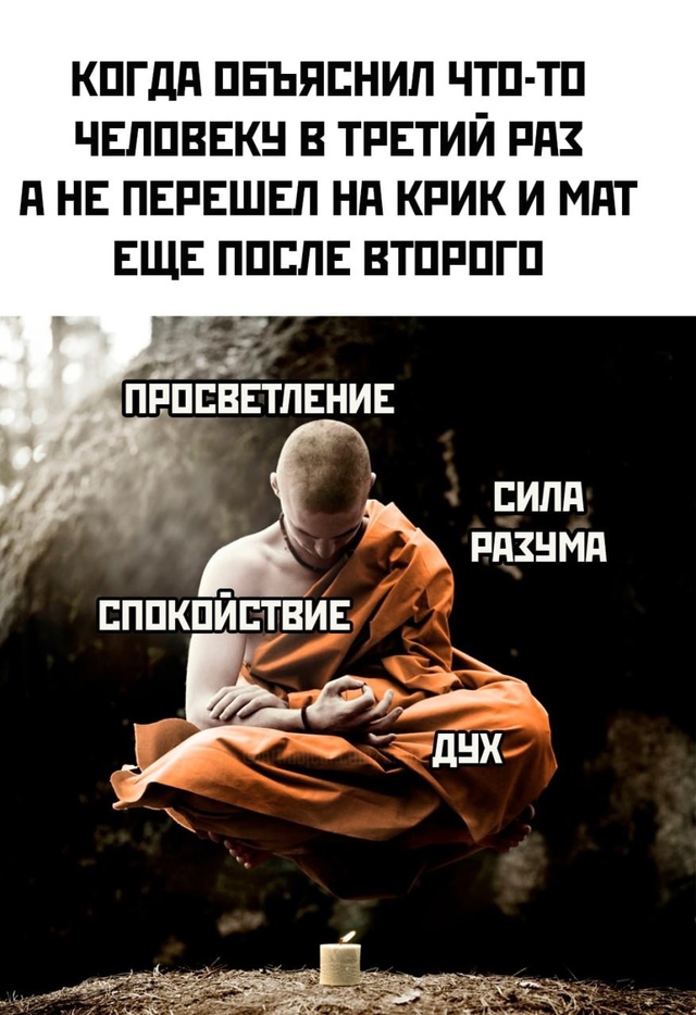 Весёлый полтишок 10.07.24
