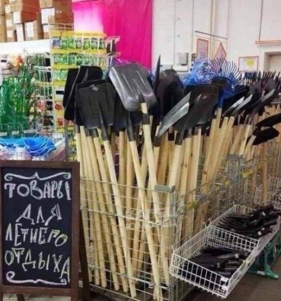 Куда  подастя ?