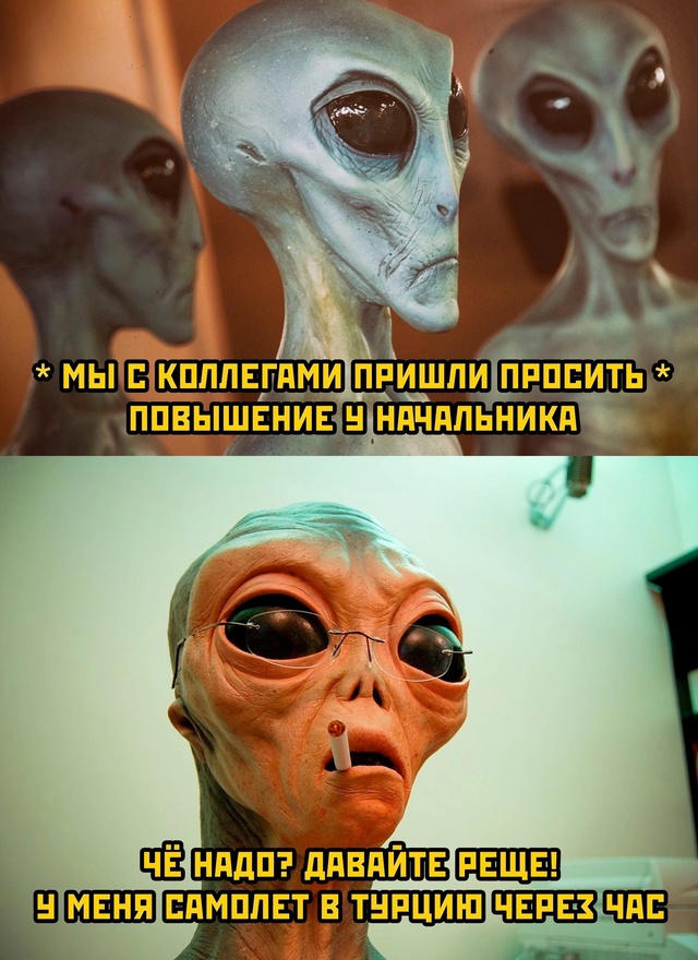 Весёлый полтишок 27.08.24