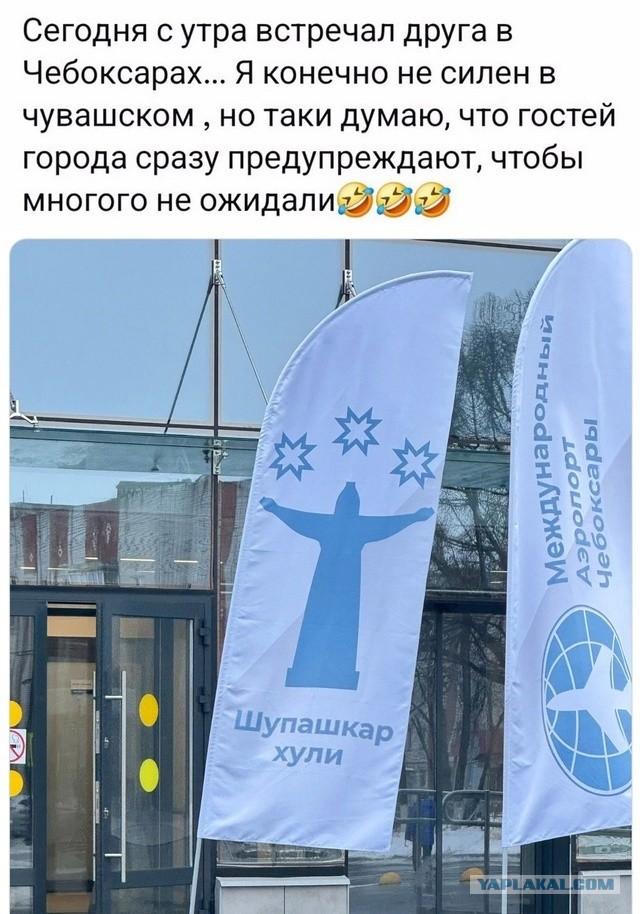 Так себе картинки 31.12.24