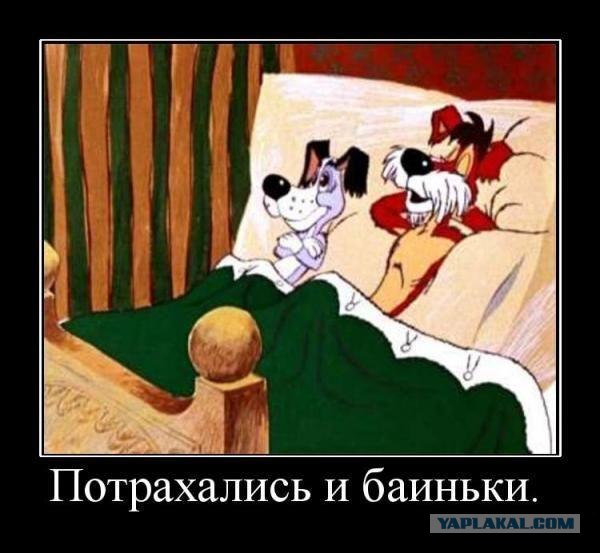 Подборка демотиваторов (14 фоток)