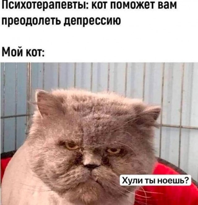 Мужики дайте совет. Скоро 45