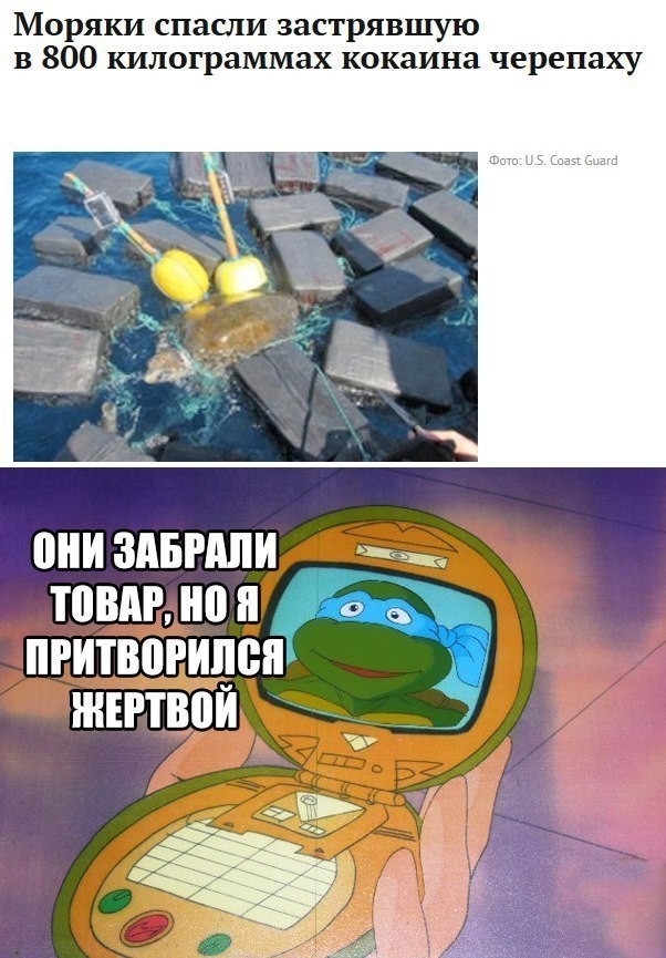 Пора деградировать. Дичь