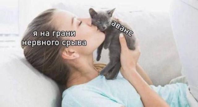 Картинки для деградации 51 (разной степени свежести)