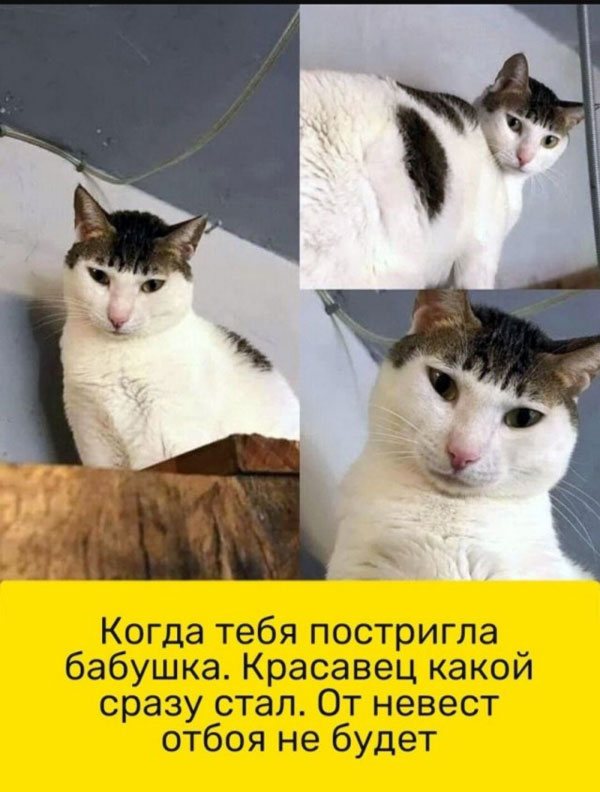 Понедельник всегда внезапен