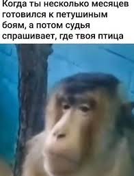 Так себе картинки 15.11.25