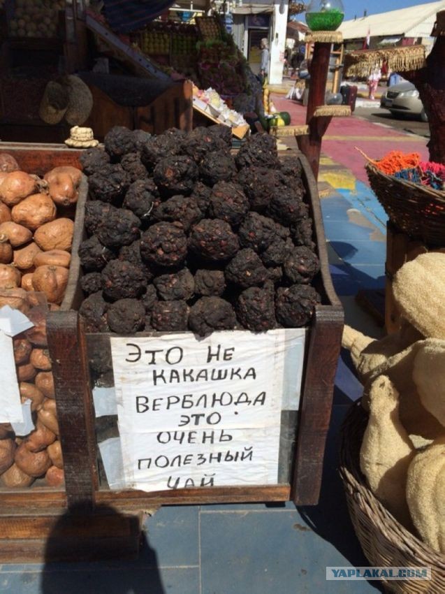 Теща привезла подарок