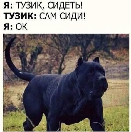 Маленькая пятница 10.12