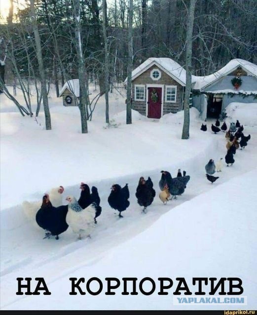 Картинки для деградации 112 (разной степени свежести)