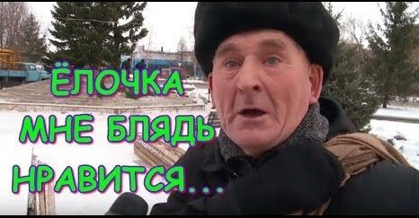 Ёлки новогодние на обозрение выставлять будем?