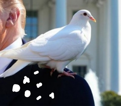 Дональд Трамп принял решение об освобождении двух российских граждан из состава экипажа танкера «Маринера»