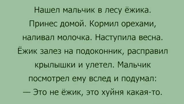 Песни недопоэтов. Танцуют все!