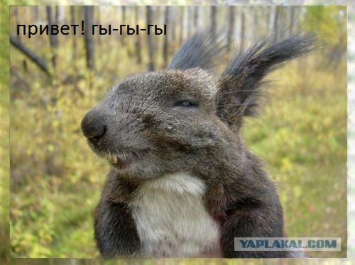 Она уже идёт за вами