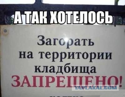 Картинки, объявления