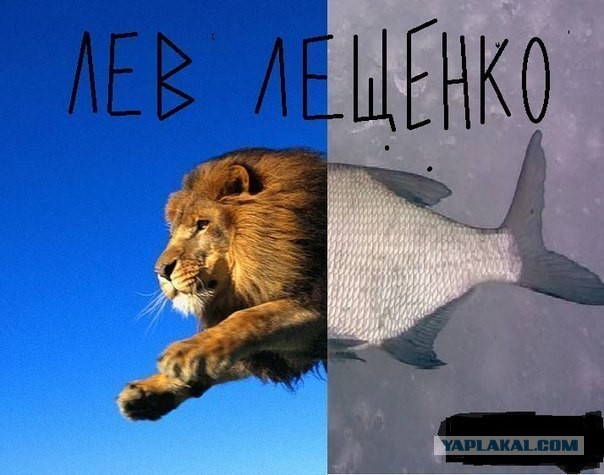 Немного позитива на пятницу.