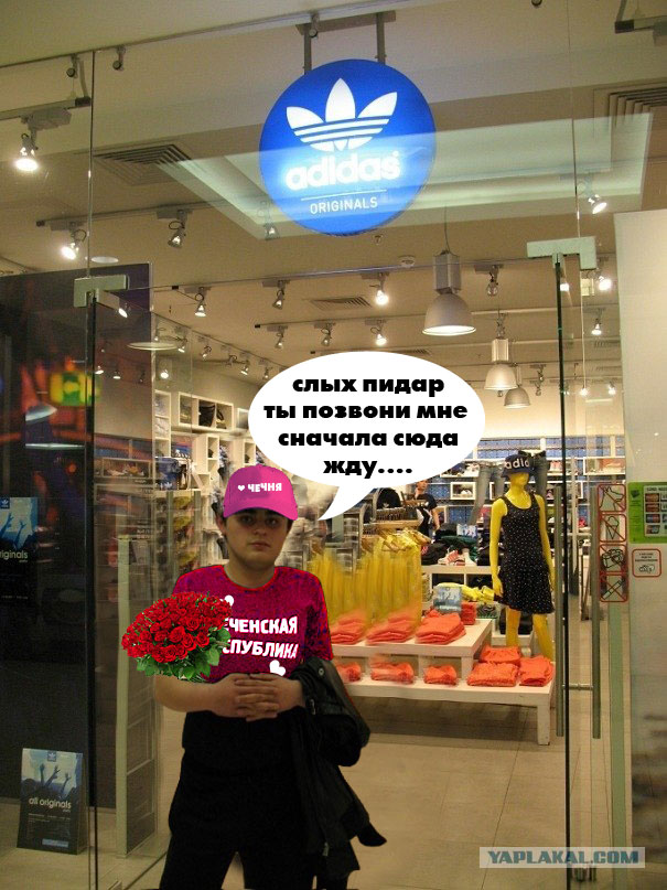 Битва мозгов.