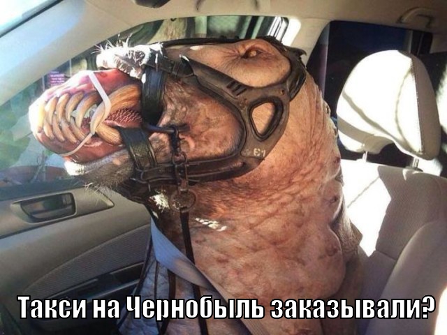 Что за зверь?