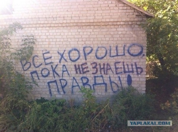 Стыд и гордость