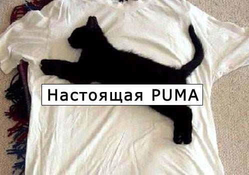 Прикольные надписи