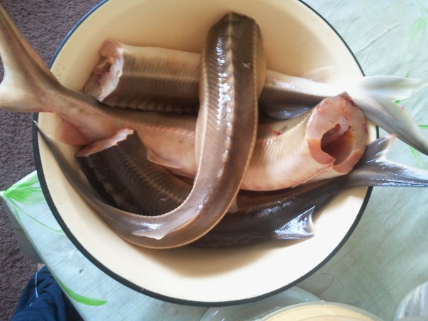 Какие продукты уникальны для Вашего региона?
