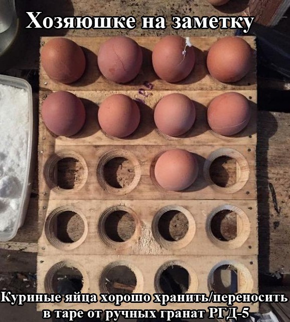 Веселости которые встретились сегодня