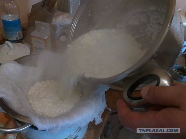 Как зарукожопить домашний сыр