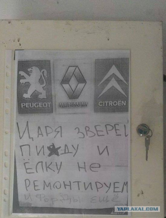 Ужасы и приколы из соцсетей 18+