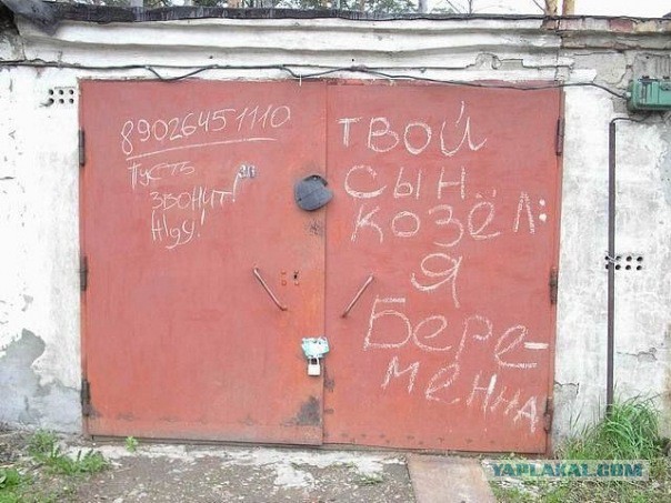 34 правдивых надписей на стенах