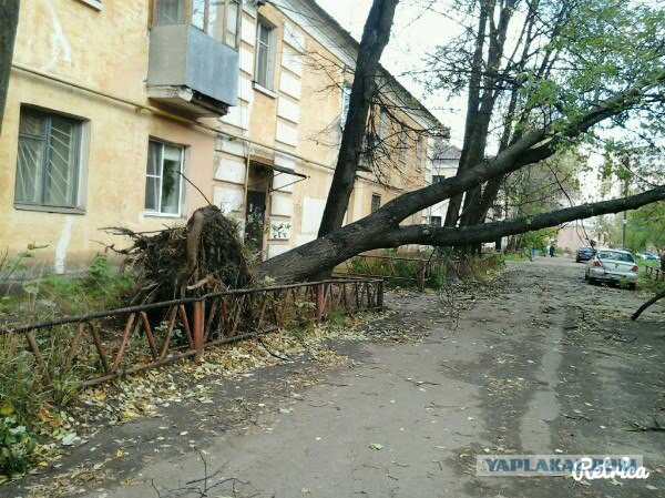 Последствия сильного ветра 3.10.2015