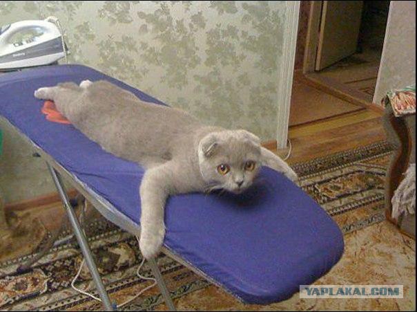 Картинки на пятницу