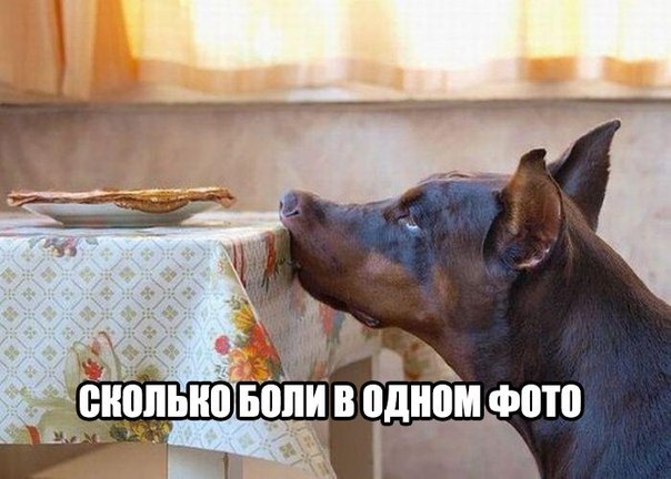 Картинки разные 2