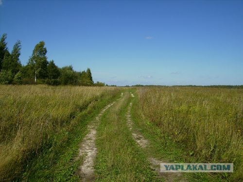 В деревню...