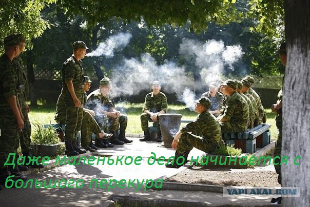 Переход на ЭС положительно влияет на нормализацию артериального давления